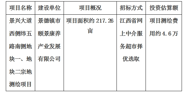 景興大道西側緯五路南側地塊一、地塊二宗地