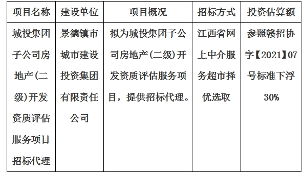 城投集團子公司房地產(二級)開發(fā)資質評估服務項目招標代理計劃公告
