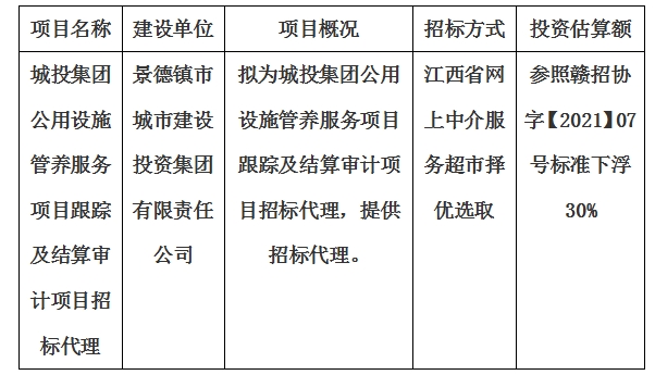 城投集團公用設(shè)施管養(yǎng)服務項目跟蹤及結(jié)算審計項目招標代理計劃公告