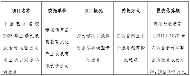 中國藝術(shù)名校2025畢業(yè)季大展及合資運(yùn)營公司設(shè)立項(xiàng)目財務(wù)盡調(diào)服務(wù)計劃公告